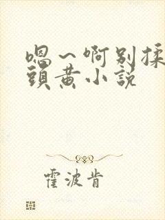 嗯～啊别揉我奶头黄小说