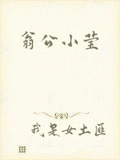 翁公小莹