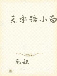 天字号小白脸