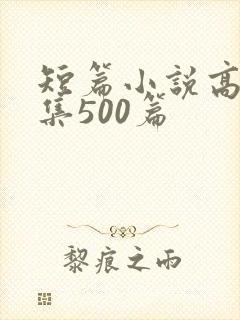 短篇小说高h合集500篇封面