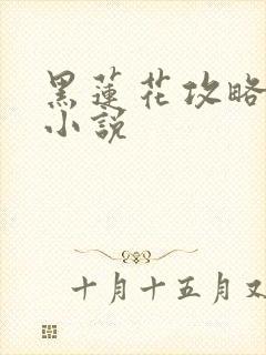 黑莲花攻略手册小说