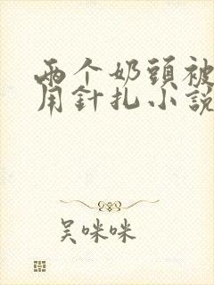 两个奶头被主人用针扎小说