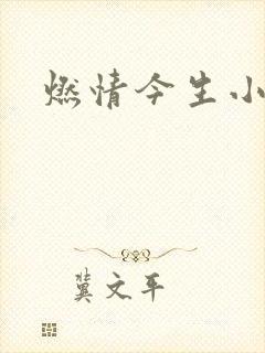 燃情今生小说