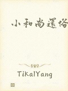 小和尚还俗记
