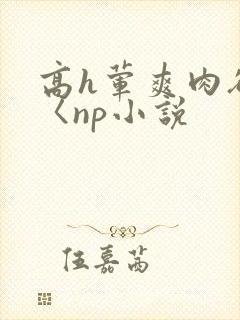 高h荤爽肉欲文〈np小说