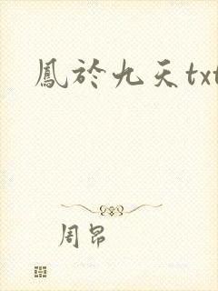 凤于九天txt