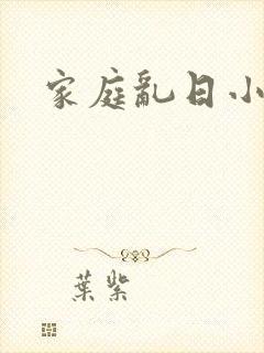 家庭乱日小说