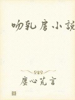 吻乳房小说封面