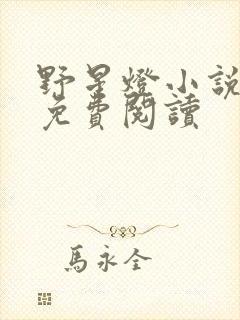 野星灯小说全文免费阅读