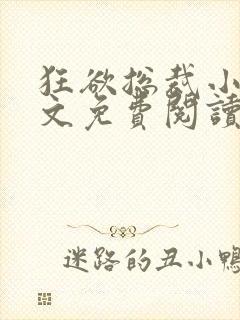 狂欲总裁小说全文免费阅读封面