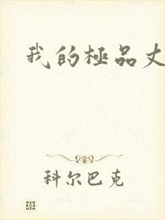 我的极品丈母娘