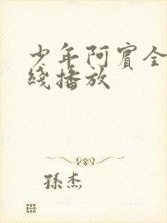 少年阿宾全集在线播放