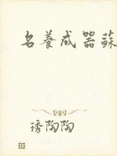 名养成器苏沫沫