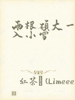 两根硕大一起挤入小雪