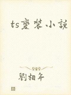 ts变装小说
