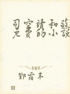 司空靖和苏月汐免费的小说笔趣阁