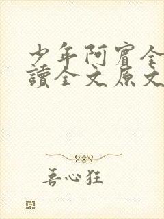 少年阿宾全文阅读全文原文
