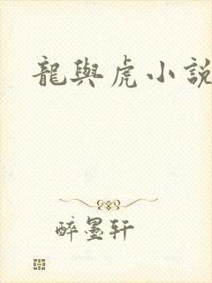 龙与虎小说