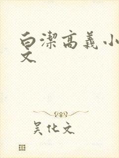 白洁高义小说全文