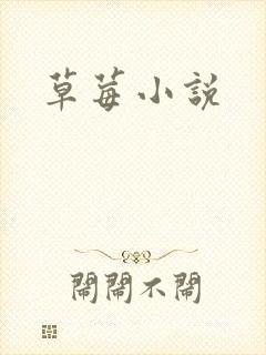 草莓小说封面