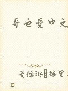 哥也爱中文