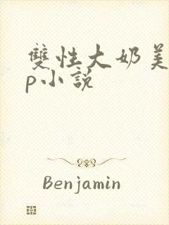 双性大奶美人np小说