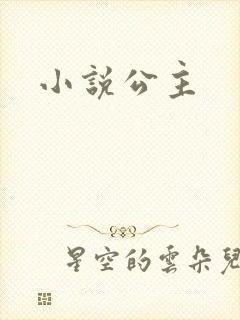 小说公主