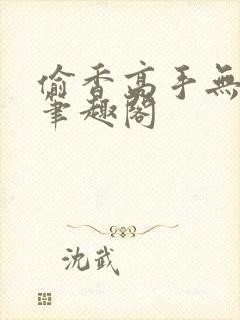 偷香高手无删减笔趣阁封面