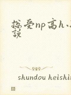 总受np高h小说