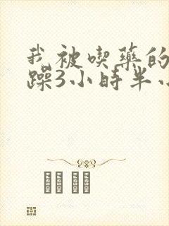 我被吃药的公狂躁3小时半小说封面