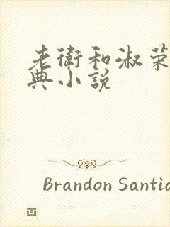 老卫和淑荣的经典小说