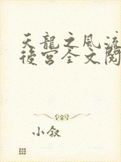 天龙之风流猎艳后宫全文阅读