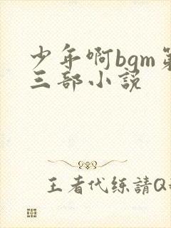 少年啊bgm第三部小说