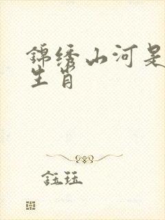 锦绣山河是什么生肖