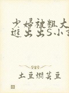 少妇被粗大猛进进出出S小说封面