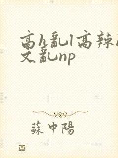 高h乱l高辣h文乱np封面