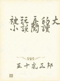 被玩弄的大小姐小说阅读封面