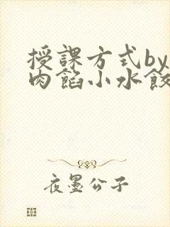 授课方式by 肉馅小水饺