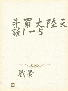 斗罗大陆天狂传说1一5