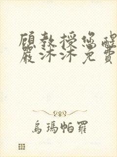 顾教授您醒了吗严沐沐免费阅读全文小说封面