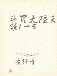 斗罗大陆天狂传说1一5封面
