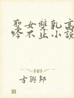 圣女双乳高耸呻吟不止小说封面