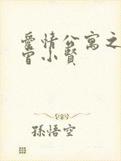 爱情公寓之极品曾小贤