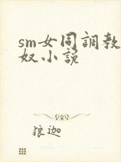 sm女同调教女奴小说