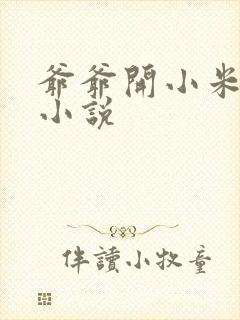 爷爷开小米的包小说
