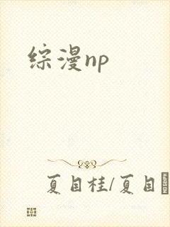 综漫np