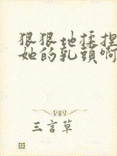 狠狠地揉捏吮吸她的乳头啊嗯封面