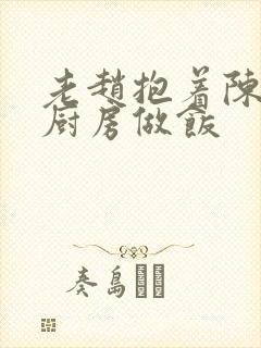 老赵抱着陈婷在厨房做饭封面