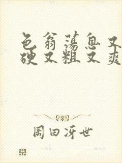 色翁荡息又大又硬又粗又爽电影