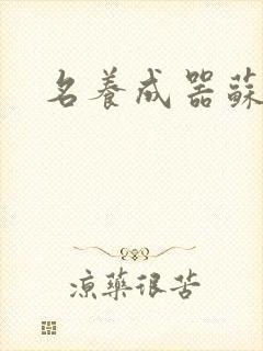 名养成器苏沫沫